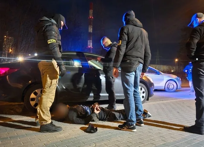 Zatrzymanie włamywaczy w Poznaniu po pościgu zakończonym na drzewie